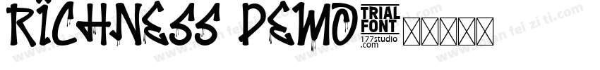 Richness Demo字体转换